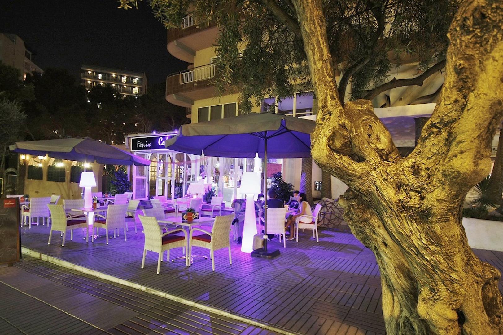 Fenix 4*