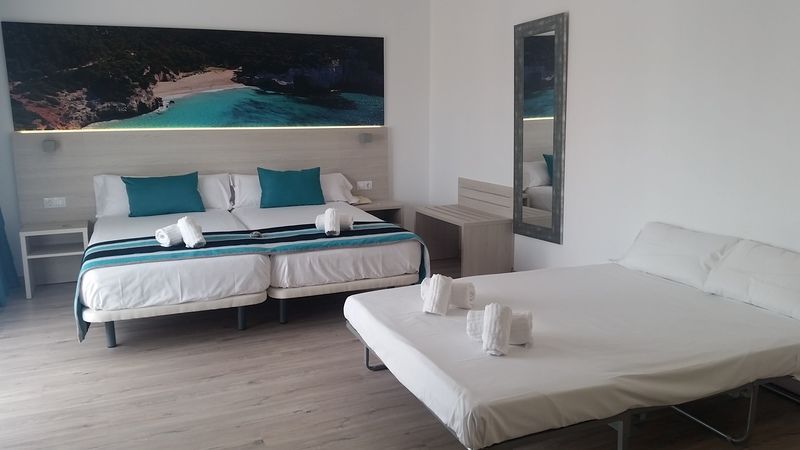 Fenix 4*